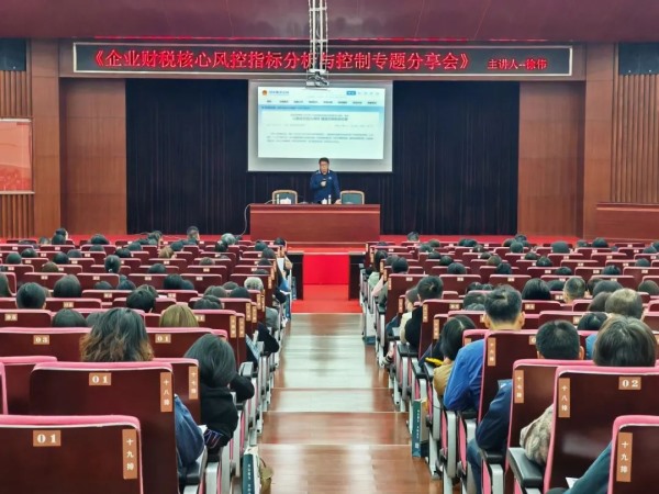 20231201企业财税核心风控指标分析与控制专题讲座