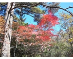 黄山旅游